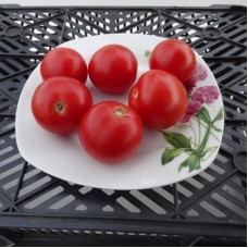 Tomato seeds «Luban» 