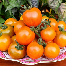 Семена томата «Тёмно-оранжевый мускат»