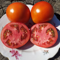 Tomato seeds «Frazier’s Gem» 