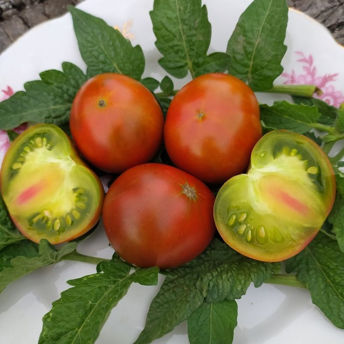 Насіння томату «Карлик мідна голова»