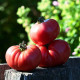 Tomato seeds «Bear paw pink» 