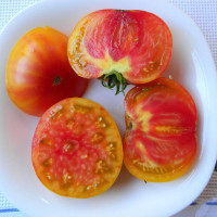 Tomato seeds «Georgia Streak»