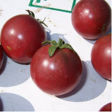 Tomato seeds «Haley's Purple Comet» 