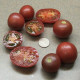 Tomato seeds «Haley's Purple Comet» 