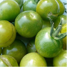 Насіння томату «Німецька вишня»