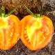 Насіння томату «Криваве Серце»