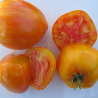 Tomato seeds «Bleeding Heart» 