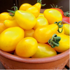 Tomato seeds «Perun» 