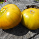 Tomato seeds «Gruene Helarios» 