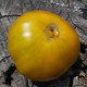 Tomato seeds «Gruene Helarios» 