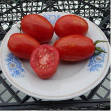 Tomato seeds «Tonnelet» 