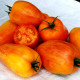 Насіння томату «Жовтий вогонь»