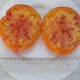 Tomato seeds «Yellow-pink granny Vinay» 