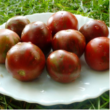Tomato seeds «Tzu-Yu» 