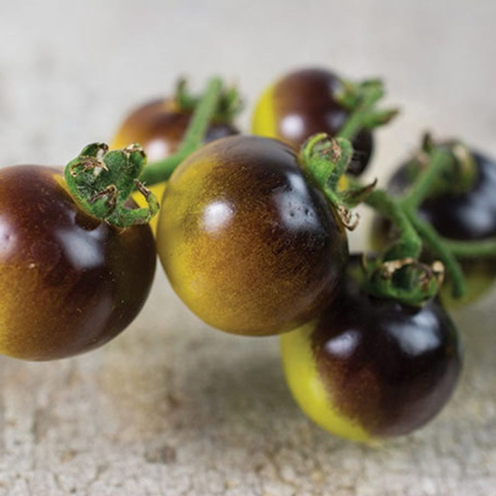 Tomato seeds «Golden blue berries» 