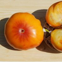 Насіння томату «Оаксаканська коштовність»