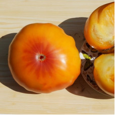 Насіння томату «Оаксаканська коштовність»