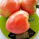 Tomato seeds «Pudovik» 