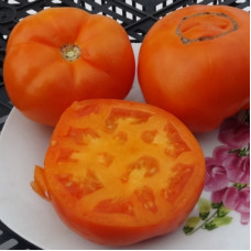 Tomato seeds «Ukrainian persimmon» 