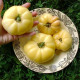 Насіння томату «Білий віск»