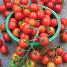 Tomato seeds «Super sweet» 