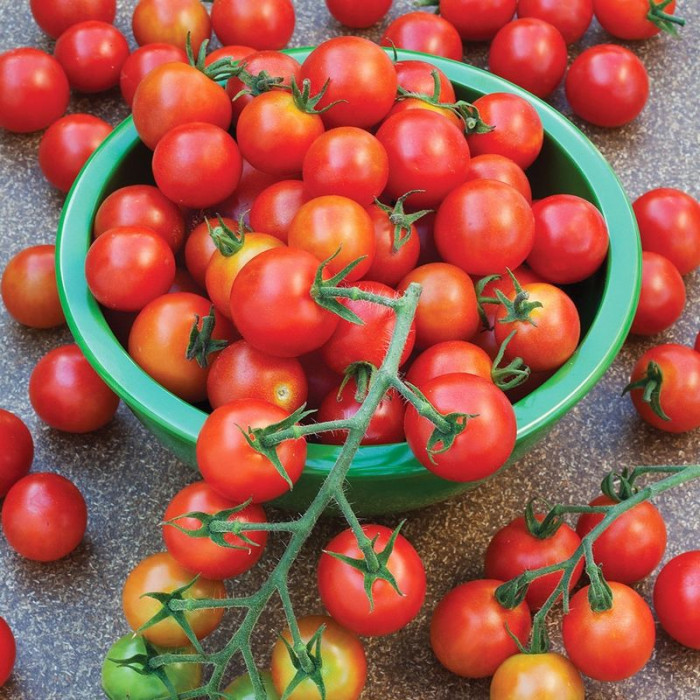 Tomato seeds «Super sweet» 