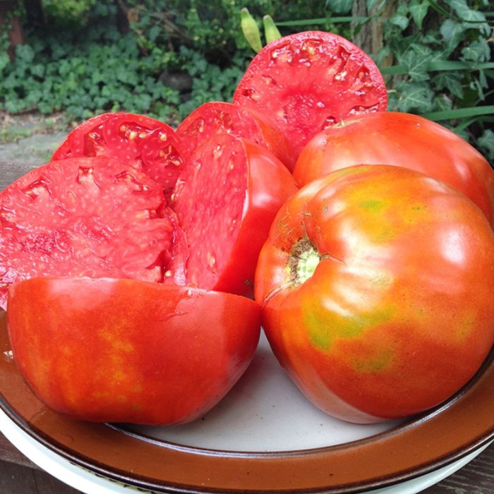 Tomato seeds «Mayo's Delight» 