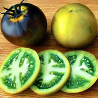 Tomato seeds «Wagner blue green» 
