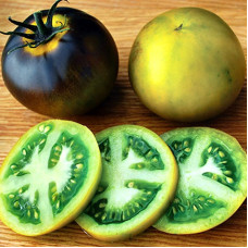 Насіння томату «Синьо-зелений Вагнер»