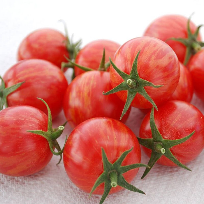 Насіння томату «Рожевий джміль»