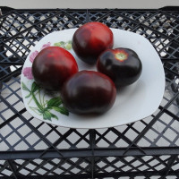 Семена томата «Голубой ручей»