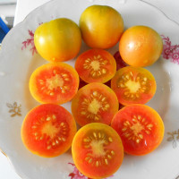 Насіння томату «Жовтий виноград»