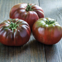 Tomato seeds «Black elephant» 