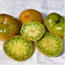 Tomato seeds «Grub’s mystery green» 