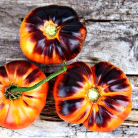 Семена томата «Послеобеденный восторг»