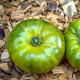 Tomato seeds «Marmande Verte» 