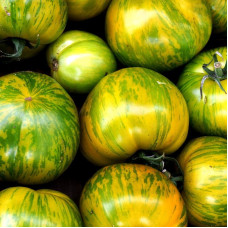 Tomato seeds «Zebra Rita» 