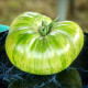 Tomato seeds «Zebra Rita» 