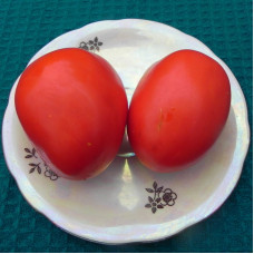 Насіння томату «Домашній різносол»