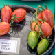 Tomato seeds «Candy sweet icicle» 