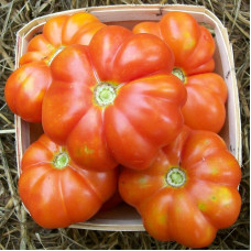 Tomato seeds «Shaker's large red» 