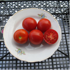 Tomato seeds «Semira» 