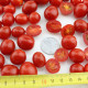 Tomato seeds «Mexiсo midget» 