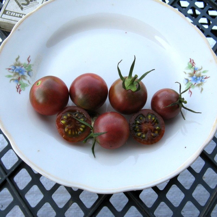 Насіння томату «Пляжний чері»
