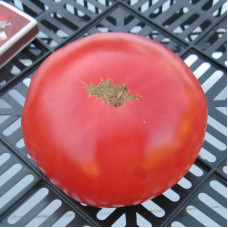 Tomato seeds «Rosa beefsteak» 