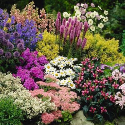Flowers for your plot