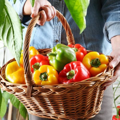 Hot and sweet pepper