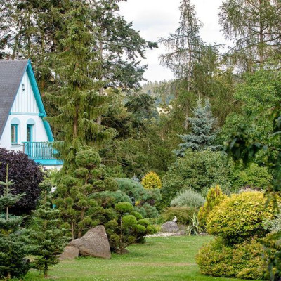 Ornamental and fruit trees and shrubs