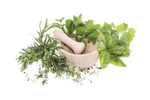 Spicy & medicinal plants seeds