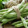 Vegetable Seeds